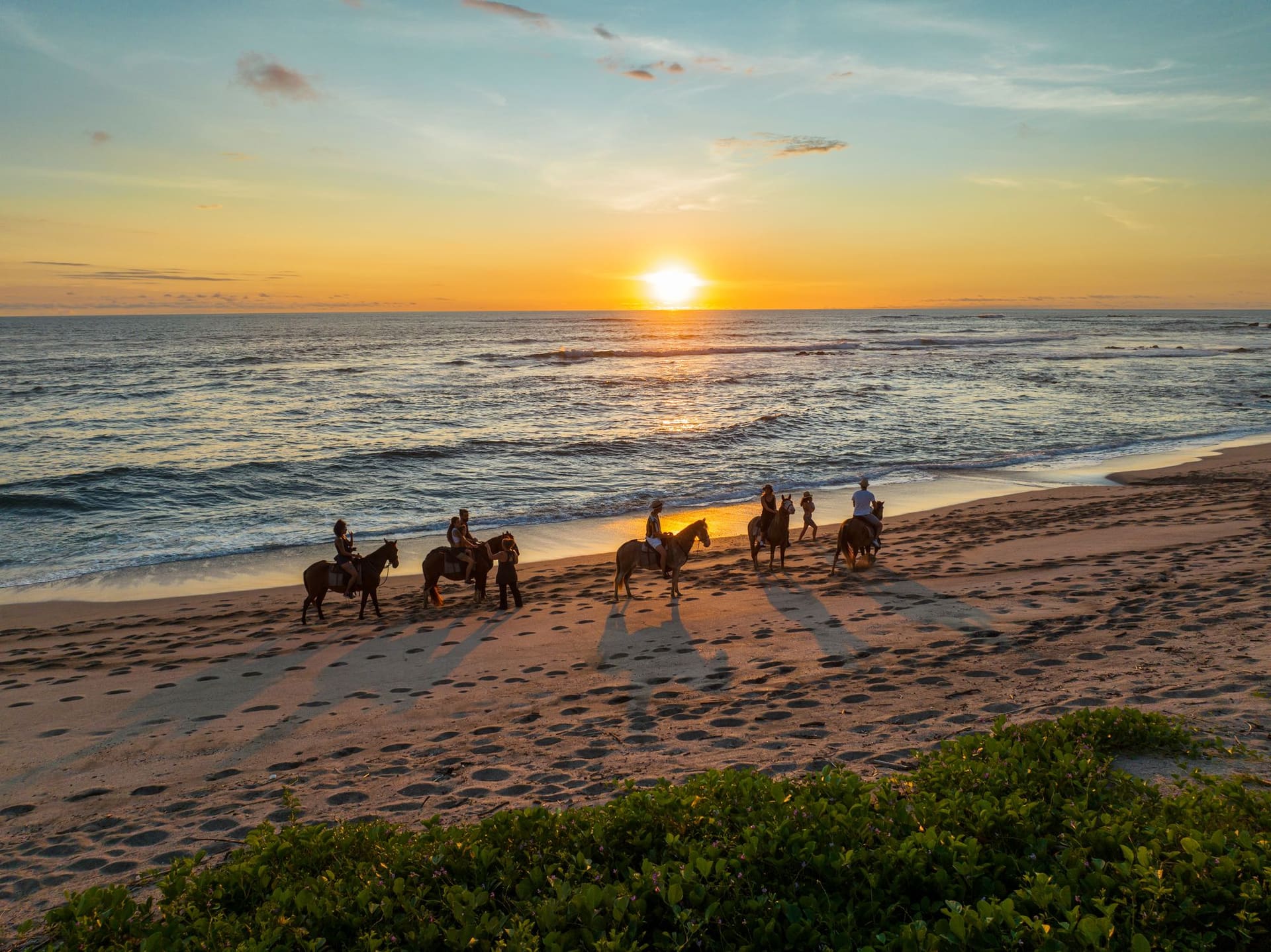 Horse Riding