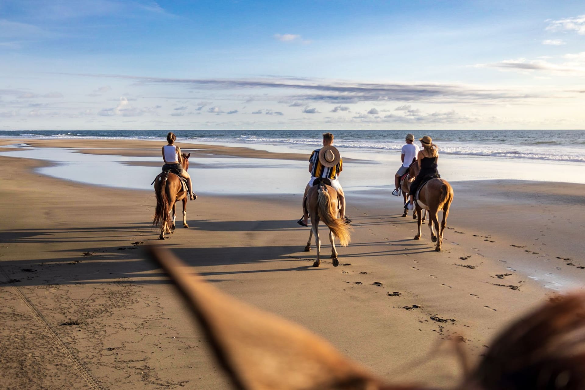 Horse Riding Tour