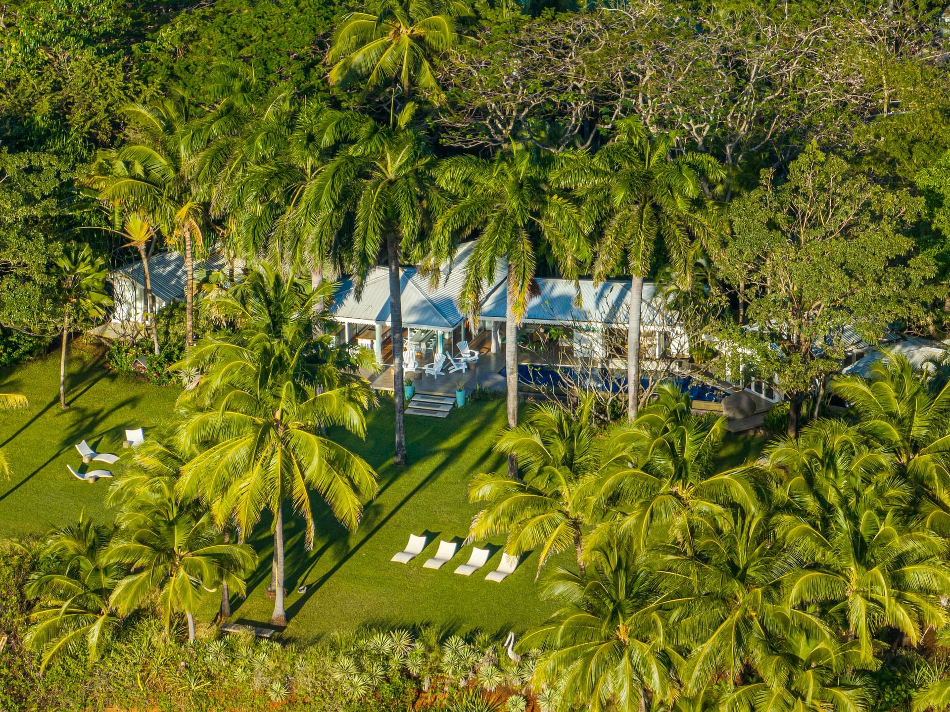 Drone View